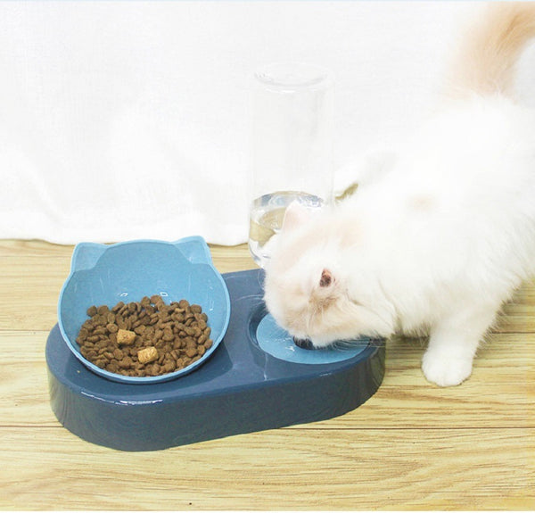 Portable Pet Feeder with Automatic Water Dispenser